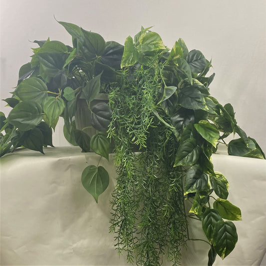 Green Light Hanging Basket