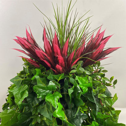 Dream Green with Dracena