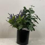 Herb Garden