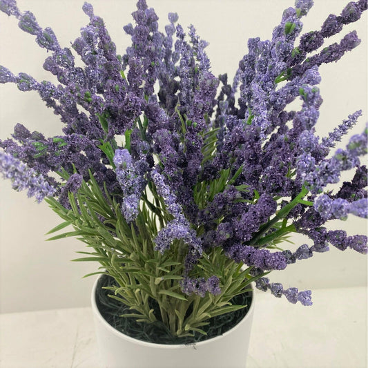 Lavender