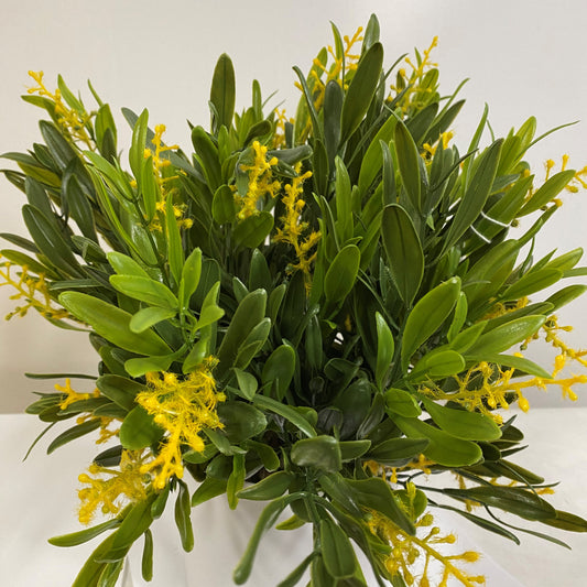 Lemon Lush Olive
