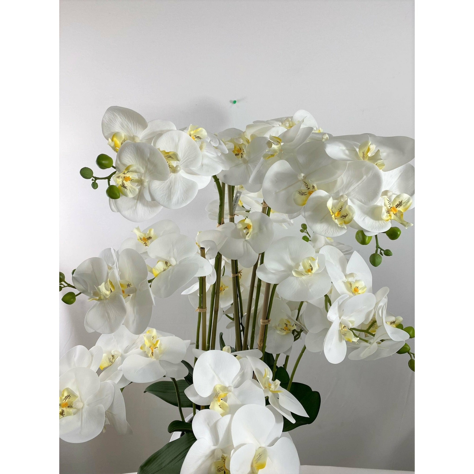 Phalaenopsis orchid 37" 12 stems real touch
