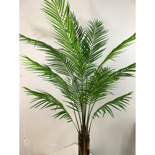 Areca palm 70" husked stem X 15 Fronds