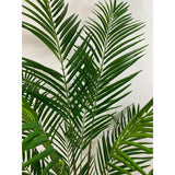 Areca palm 70" husked stem X 15 Fronds