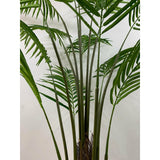 Areca palm 70" husked stem X 15 Fronds