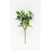 Floral greens (Pack of 3)