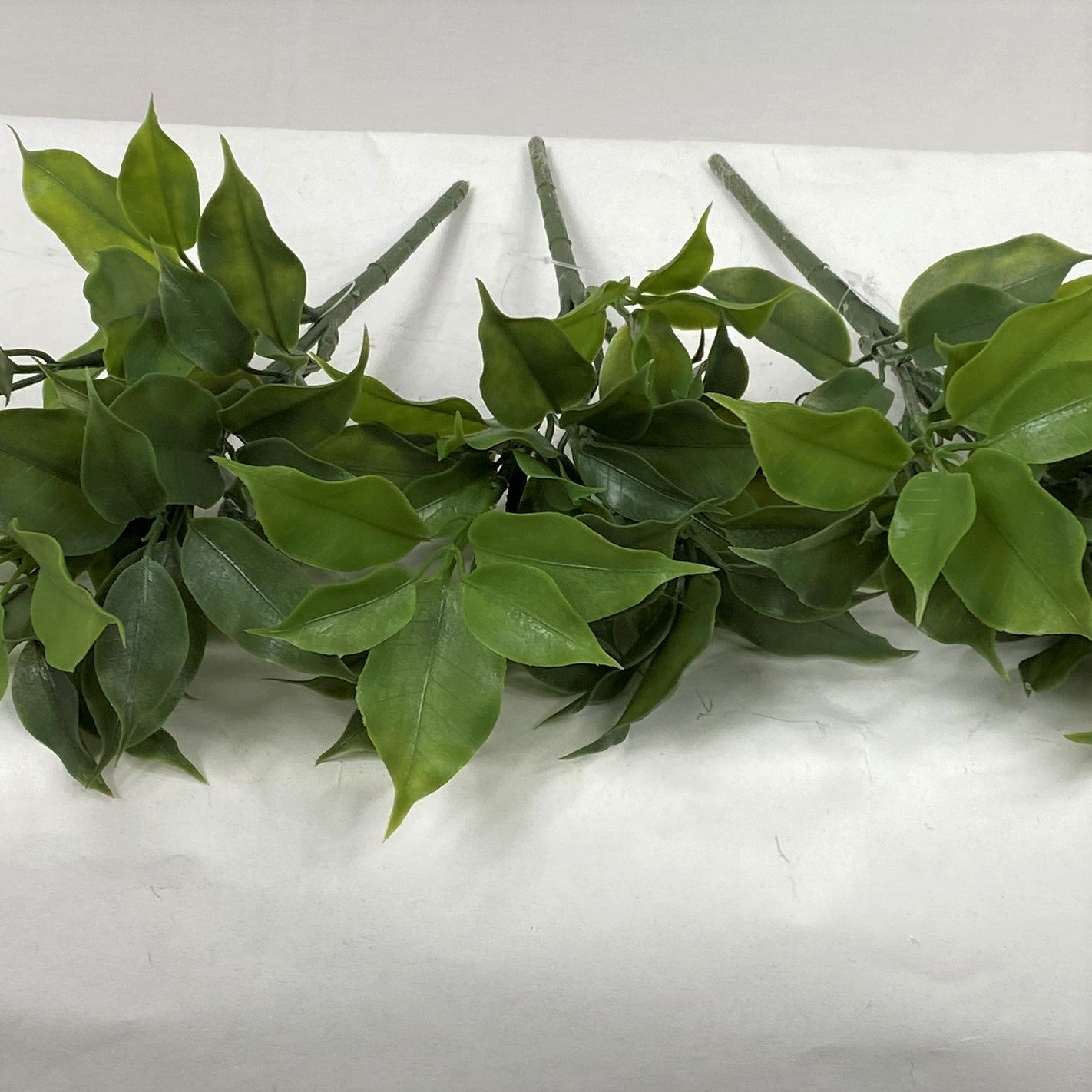 Floral Greens (Pack of 3)