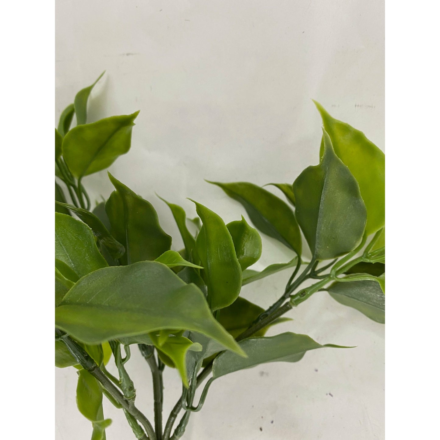Floral Greens (Pack of 3)