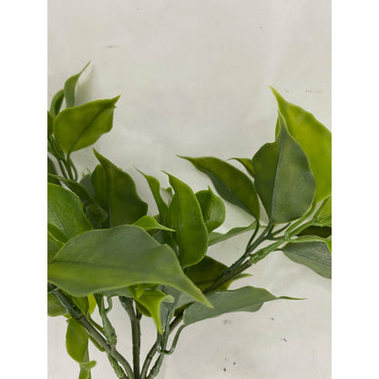 Floral Greens (Pack of 3)