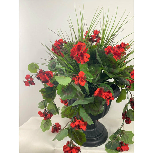 Flowering Geranium with Decorative Grass