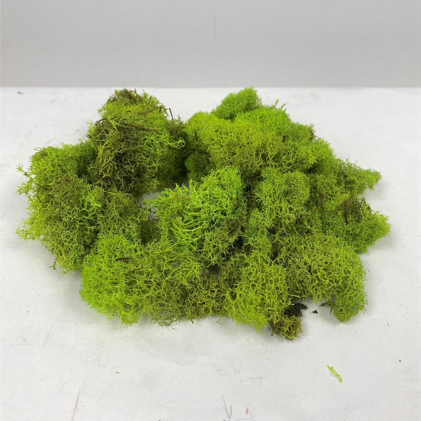 Reindeer Moss 1lb