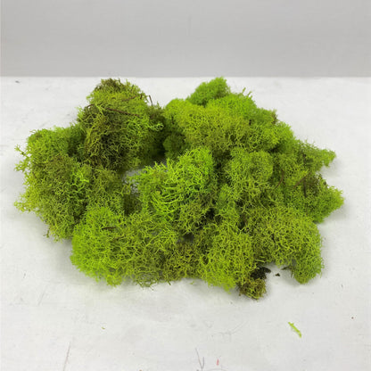 Reindeer Moss 1lb