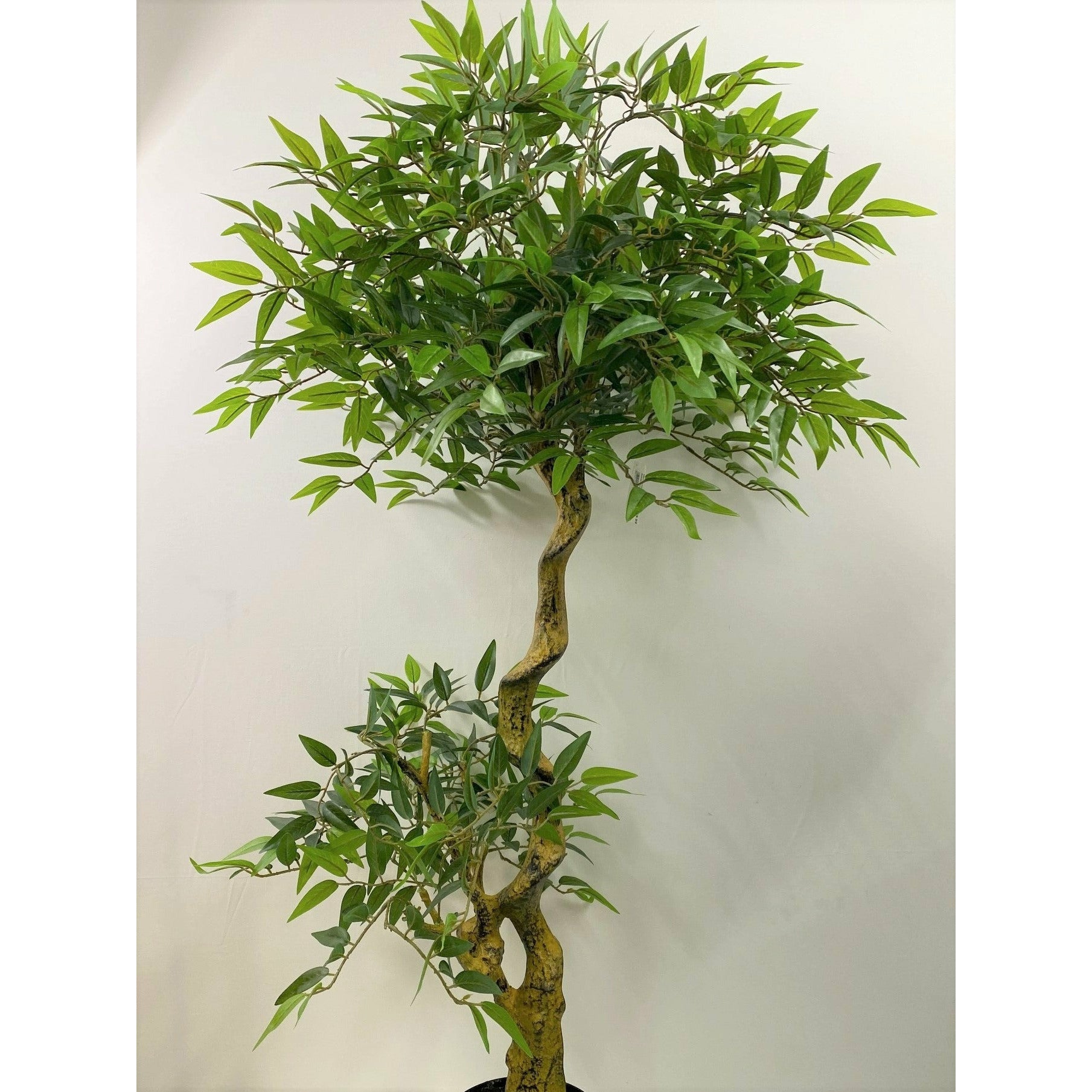 Outdoor Ruscus Topiary 4.5ft