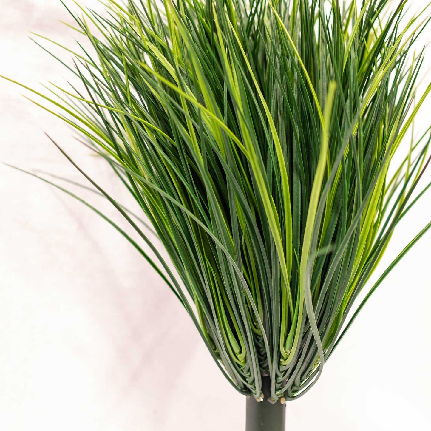 Wheat Grass
