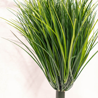 Wheat Grass