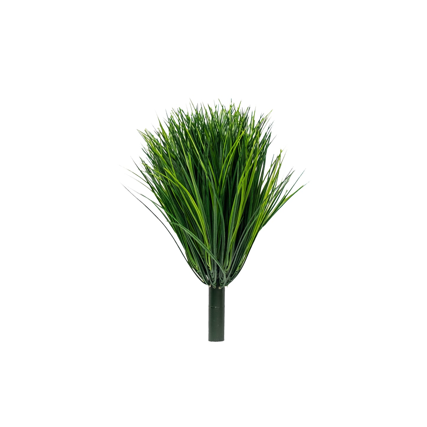 Wheat Grass