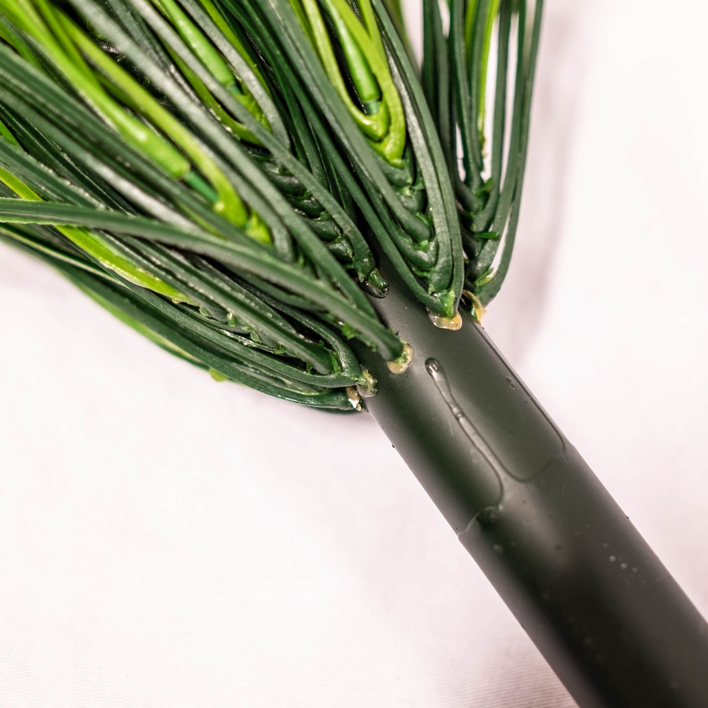 Wheat Grass