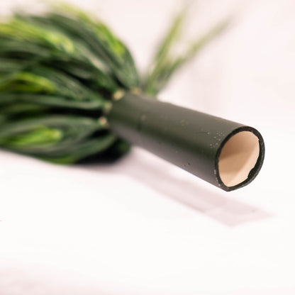 Wheat Grass